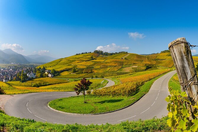 Alsace Wine Route Small Group Half-Day Tour With Tasting From Strasbourg - Tour Guide and Group Interaction