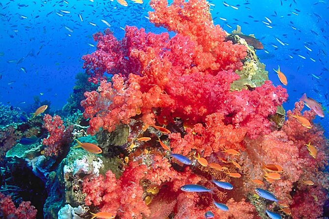 Amazing Kabi Trung Emerald Cave Snorkeling 2 Day 1 Night by Speed Boat - Common Questions