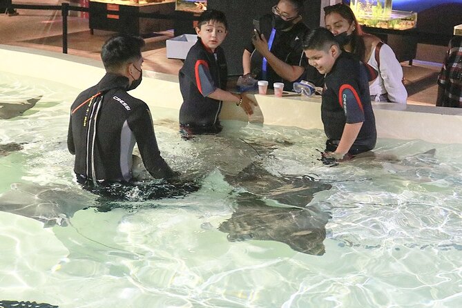 Aquarium Michin Puebla Ticket - Common Questions
