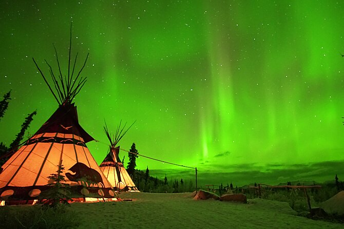 Arctic Day: Aurora Viewing Tour Evening - Viator Information