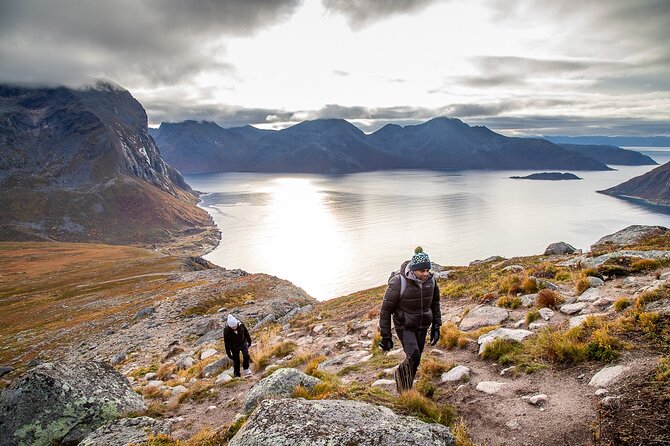 Arctic Landscapes Hiking Tour - Sightseeing & Snowshoeing, Tromsø - The Sum Up