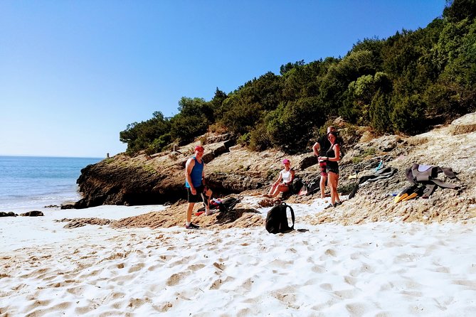 Arrábida Snorkeling Adventure With Transfer From Lisbon - The Sum Up