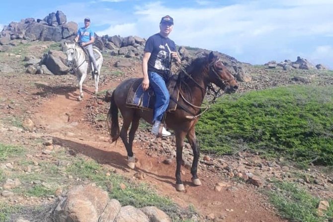 Aruba Private, 2 Hour Horseback Riding Tour For Advanced Riders - Activity Restrictions and Requirements