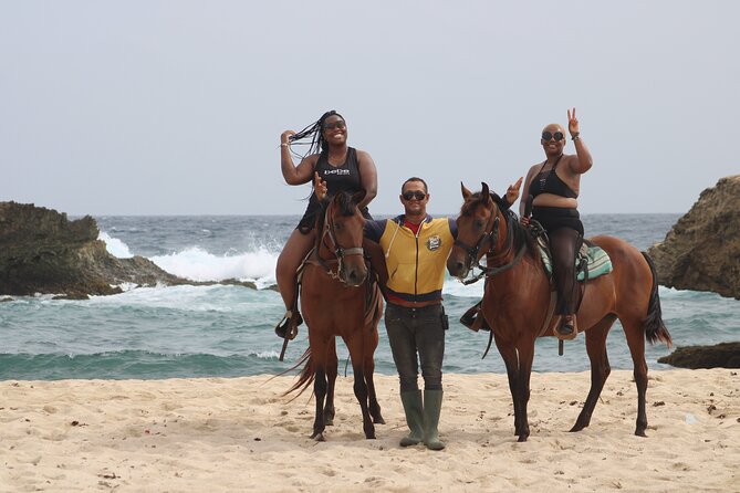 Aruba: Small-Group North Coast Horseback Tour - Directions
