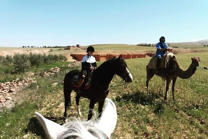 Atlas Mountains Three Valleys & Camel Ride Guided Tour - Common Questions