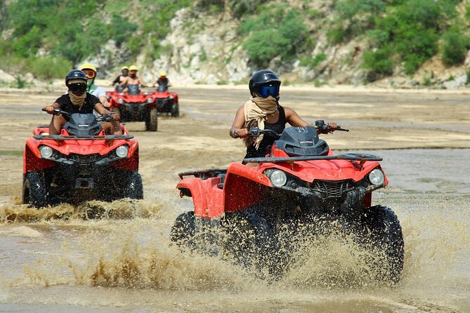 ATV Beach & Desert Adventure Tour in Los Cabos Tequila Tasting - Customer Recommendations for the Tour