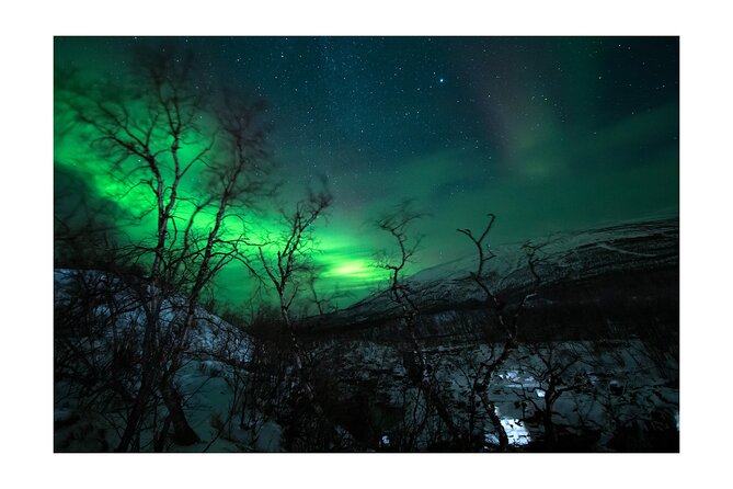 Aurora Borealis Tour Kiruna - Abisko With Local Street Food - The Sum Up