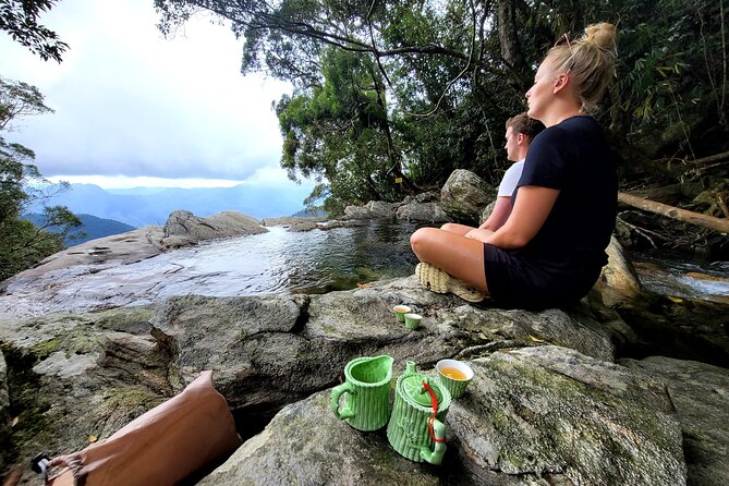 Bach Ma National Park Trekking Daily Tour From Hue - Expert Guides and Local Knowledge