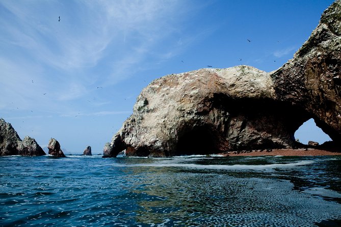 Ballestas Islands Tour From Pisco - Common Questions