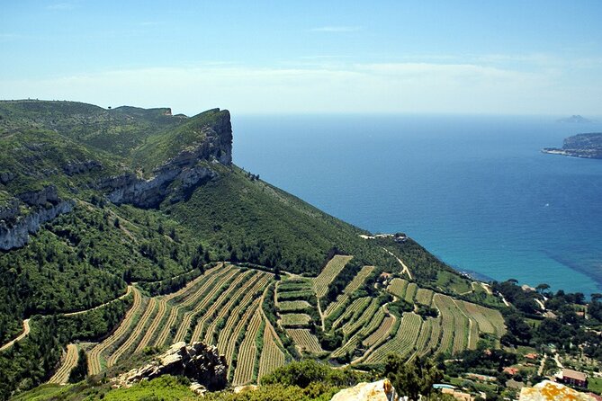 Bandol Wine Tour - 4 Hour Private Tour - The Sum Up