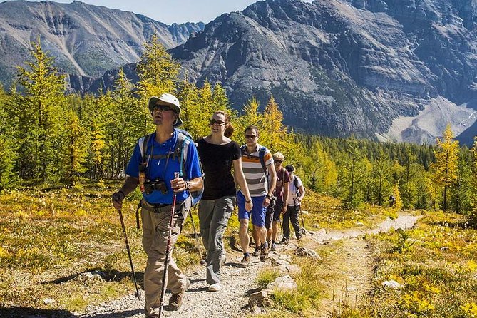 Banff National Park Guided Hike With Lunch - Reasons to Choose This Tour