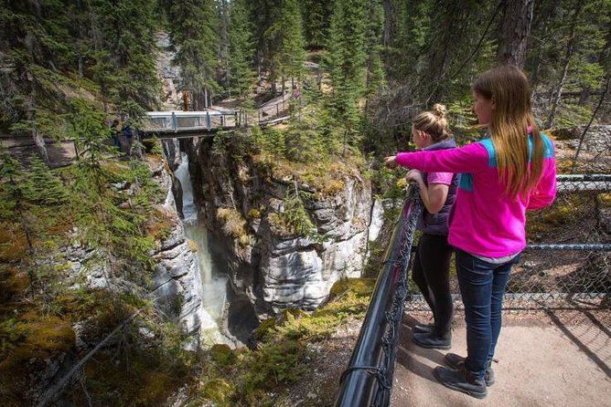 Banff, Yoho & Columbia Icefield Tour From Calgary 4-Days Tour - Traveler Photos, Reviews, and Pricing