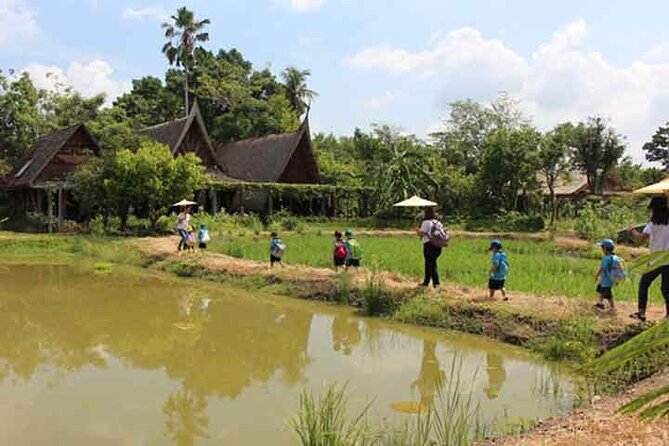 Bangkok Damnern Saduak Floating Market, Thai Cultural Workshop & Organic Village - The Sum Up