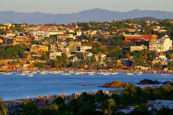 Beaches Dolphins And Viewpoints Discovering The Hidden Port By Sea And Land - Tasting Local Cuisine and Exploring the Market
