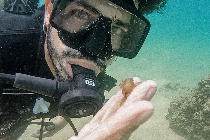 Beginner Scuba Diving Experience in Cabo San Lucas - The Sum Up