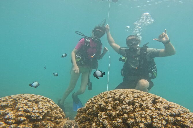 Beginner Scuba Experience With Free Video Package - Honolulu - The Sum Up