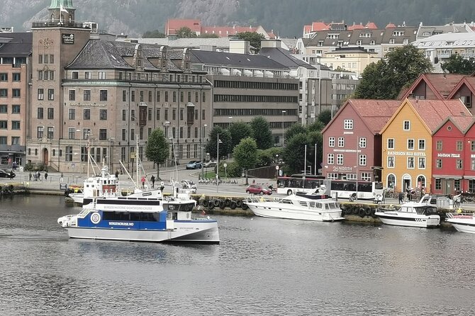 Bergen Fjord Cruise to Alversund Streams - All Year - The Sum Up