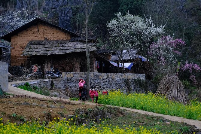 Best 3-Day Ha Giang Loop Motorbike Tour-Nature, Villages, Culture - Booking and Contact Information