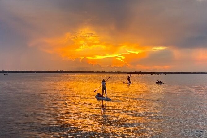 Bioluminescence Clear Kayak or Clear Paddleboard Adventure Tour - Common Questions