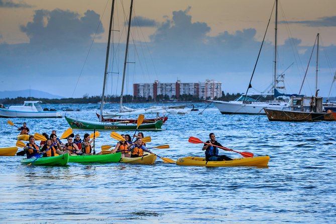 Bioluminescent Bay Night Kayaking Tour in Laguna Grande Fajardo - Common Questions