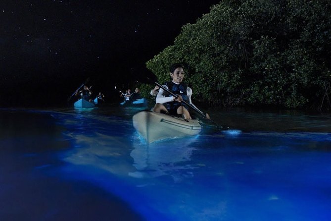 Bioluminescent Kayak Tour. Fin Expeditions Is Cocoa Beaches Top Rated Kayak Tour - Small-Group Tour Experience
