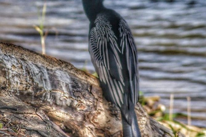 Bird Watching Tours - Free Cancellation Policy