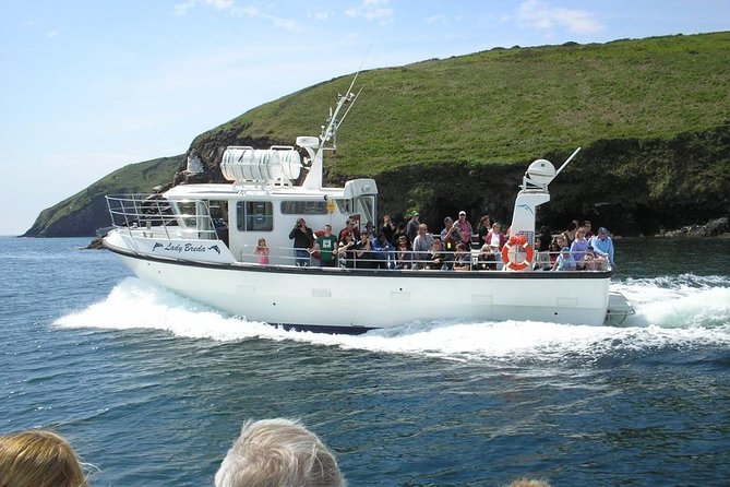Blasket Islands Wildlife Boat Tour From Dingle - Good To Know