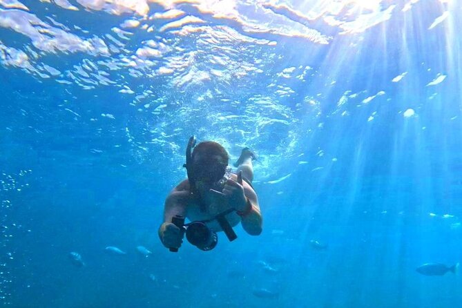 [Blue Ocean Snorkeling] Waikiki Turtle Canyon Snorkeling 6 in 1 - The Sum Up