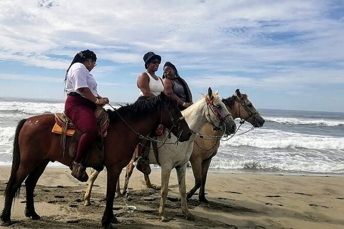 Boat Ride-Gentle Beach Beach Horseback RideLunch-Crocs-Turtles - Common Questions