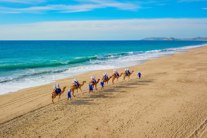 Boat Ride to the Arch and Beach Camel Ride in Cabo San Lucas Shared Tour - Common Questions