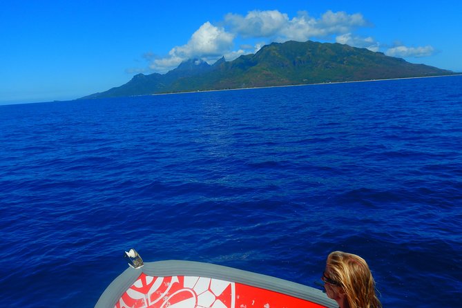 Boat Tour 1/2 Day Excursion in the Lagoon of Moorea - The Sum Up