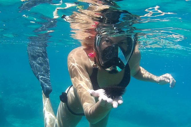 Boat Trip With Guided Snorkeling Tour & SUP in Chania - Common Questions