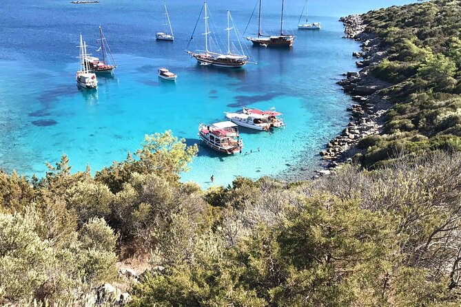 Bodrum Orak Island (Turkish Maldives) Boat Trip - Boat Trip to Bodrum Orak Island
