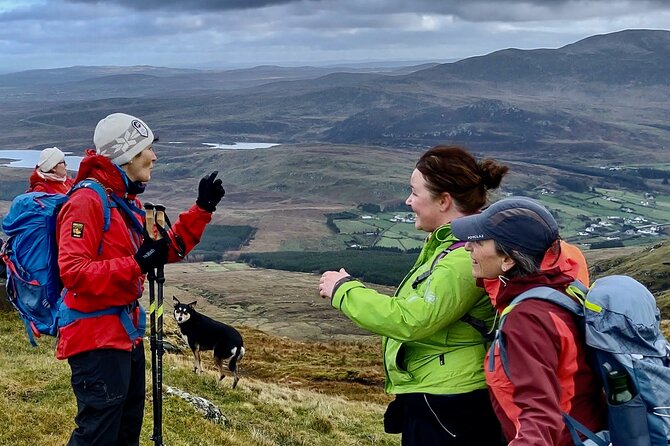 Bog Safari Hike - Booking and More Information