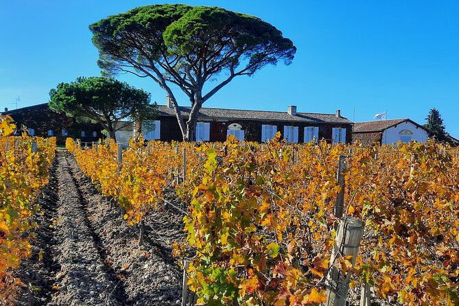 Bordeaux Médoc Region Private Wine Lovers Tour With Chateau Visits & Tastings - The Sum Up