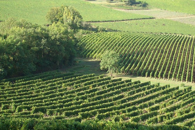 Bordeaux to Medoc & Saint Emilion Wine Tasting / Sightseeing Tour - The Sum Up