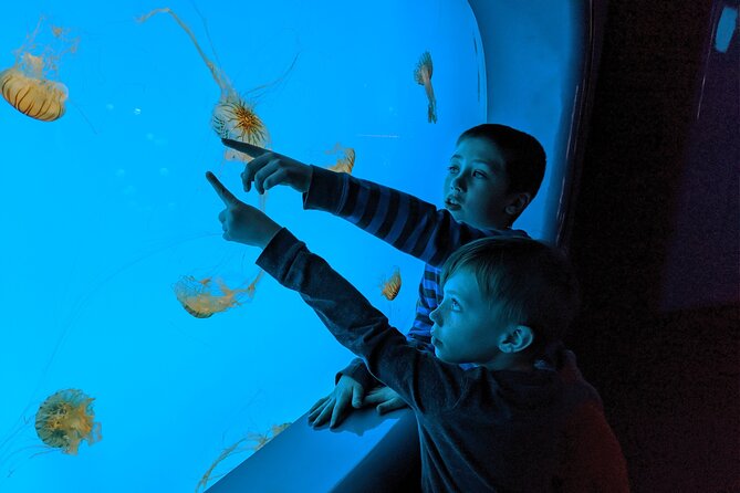 Burj Khalifa and Dubai Aquarium Combo Admission Ticket - The Sum Up