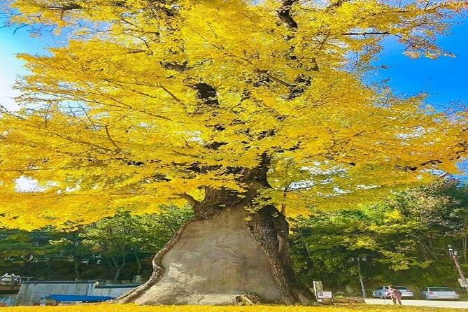 Busan Private Hiking Tour : Panoramic Views Awaits - Common Questions