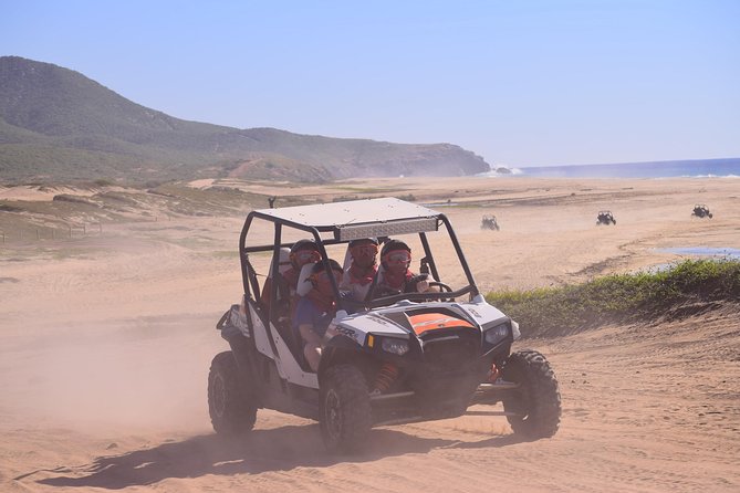 Cabo Migrino Beach & Desert Tour (Triple UTV) - Common Questions