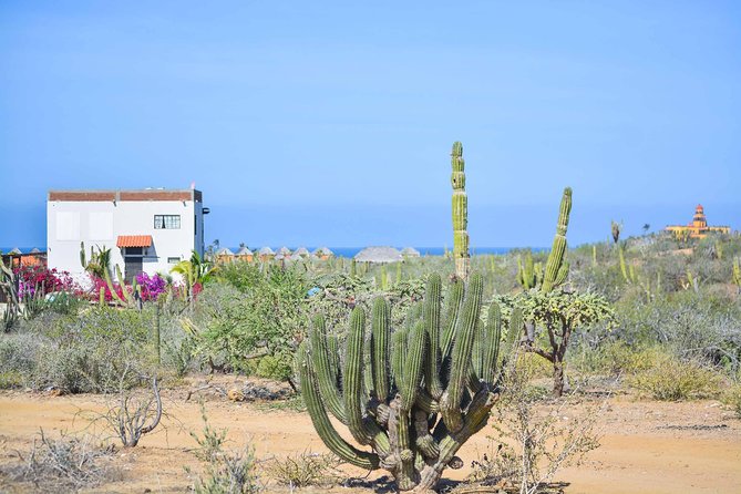 Cabo San Lucas Private Full-Day Sightseeing Jeep Tour