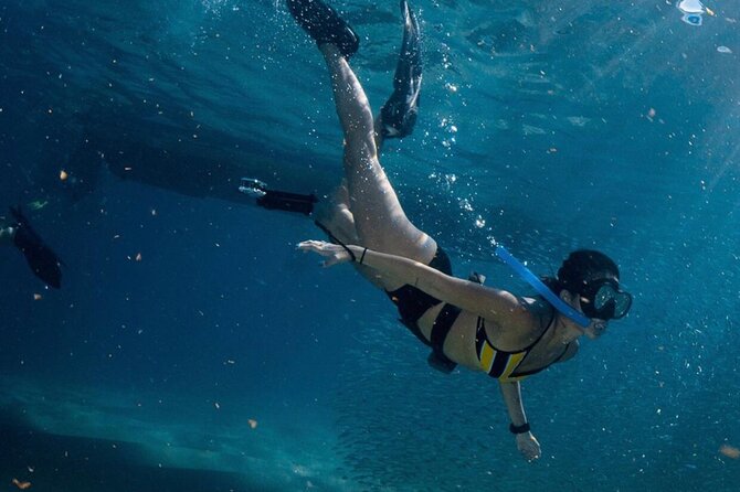Cabo San Lucas Private Snorkeling Tour - Snorkeling Experience Feedback
