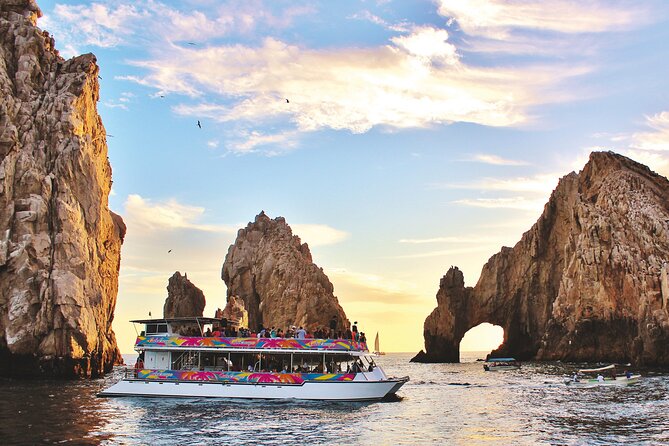 Cabo San Lucas Whale Watching Tour All Included - Common Questions