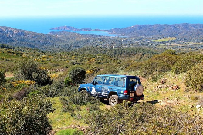 Cagliari: Is Cannoneris Nature Reserve Jeep and Walking Private Tour From Chia - Pricing and Booking Details