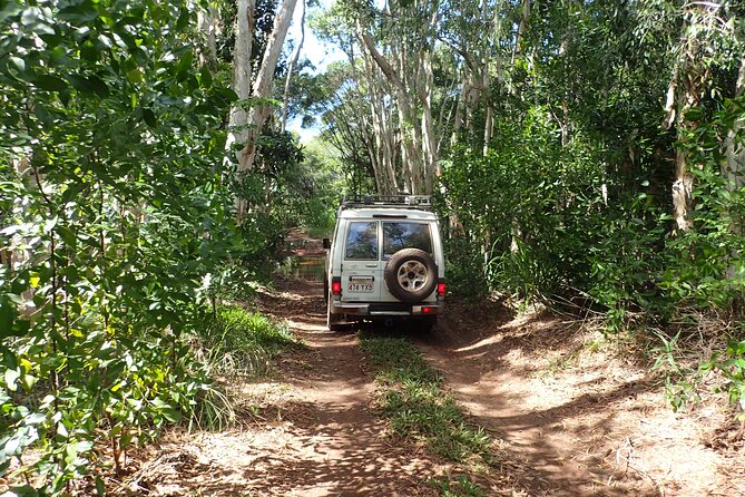 Cairns 4WD Rainforest Waterfall Tour Including a GBR Island Tour - The Sum Up