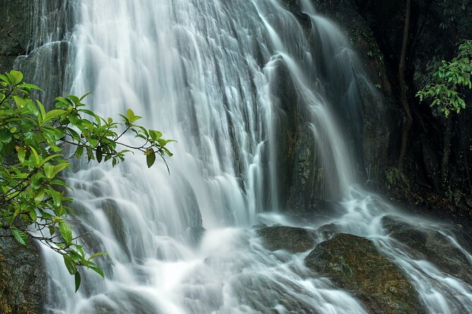 Cairns, Great Barrier Reef & Rainforest 7 Day Tour. - Booking Information and Pricing