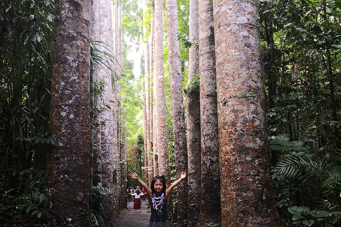 Cairns to Heberton Historic Village and Paronella Day Trip  - Cairns & the Tropical North - Common Questions