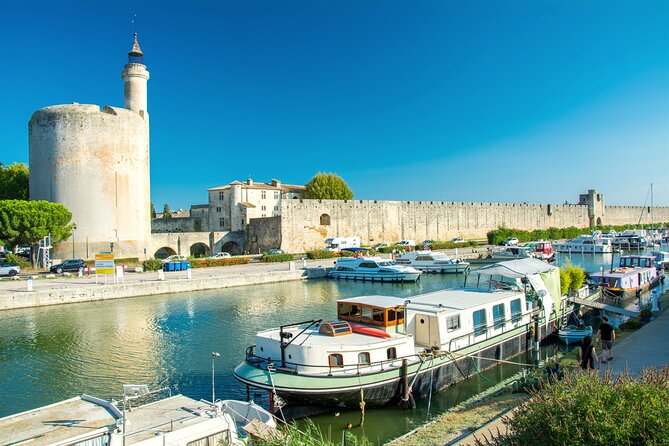 Camargue Small-Group Day Trip From Avignon - Comfortable Minivan Transportation