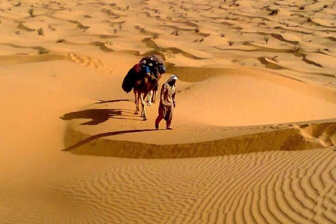Camel Ride and 1 Night in the Desert - The Sum Up