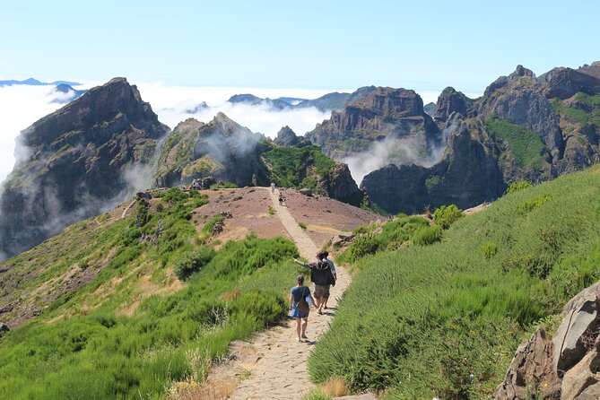 Canico Private Full-Day Choose Your Own Adventure Tour  - Funchal - Positive Feedback and Recommendations