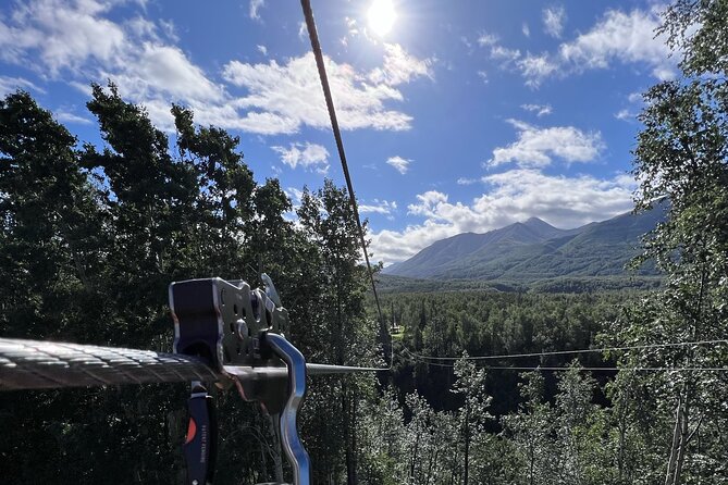 Canopy Zipline Tour in Mat Su Valley Just Outside of Anchorage - Customer Reviews and Ratings